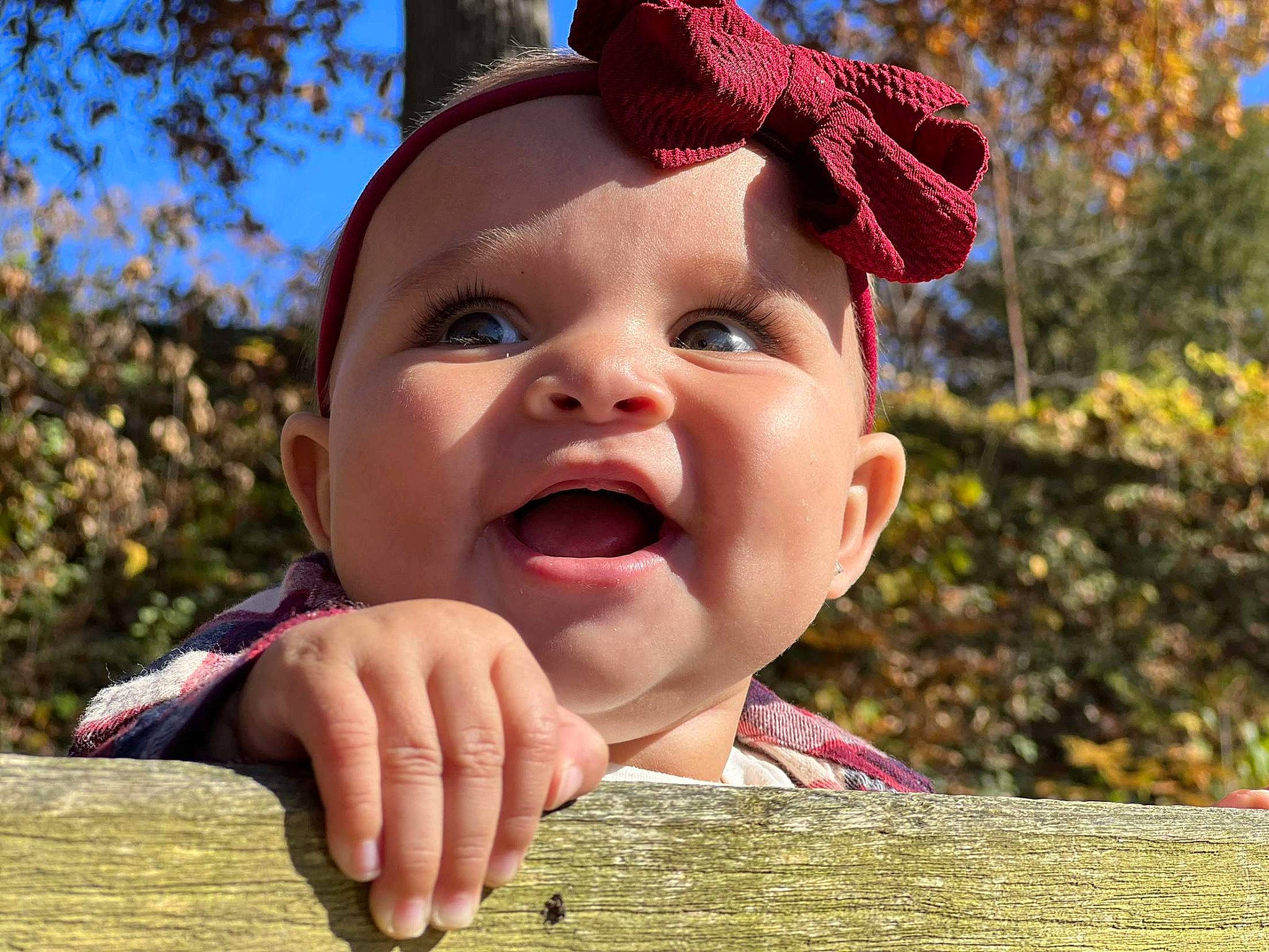 Kiyah is registered to the contest to win money with this photo: baby_laughing, botany, eye, face, gesture, grass, green, happy, head, human_body, leisure, lip, nose, people_in_nature, person, plant, red, sky, smile, toddler
