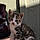 Mittens