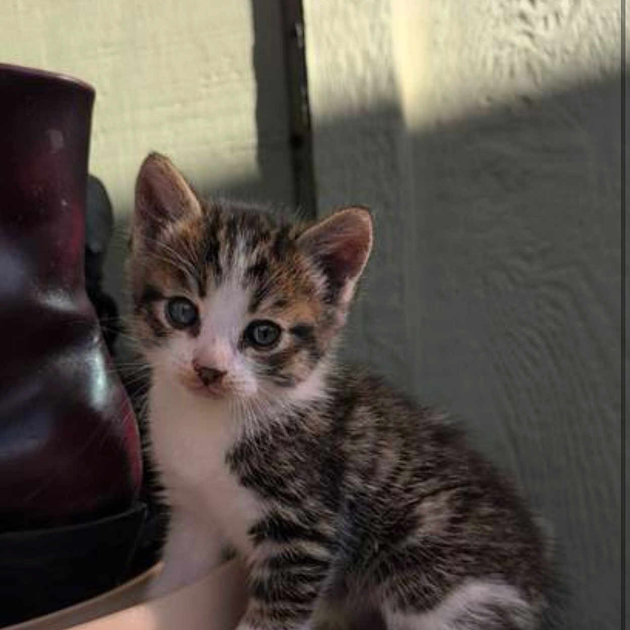 Mittens