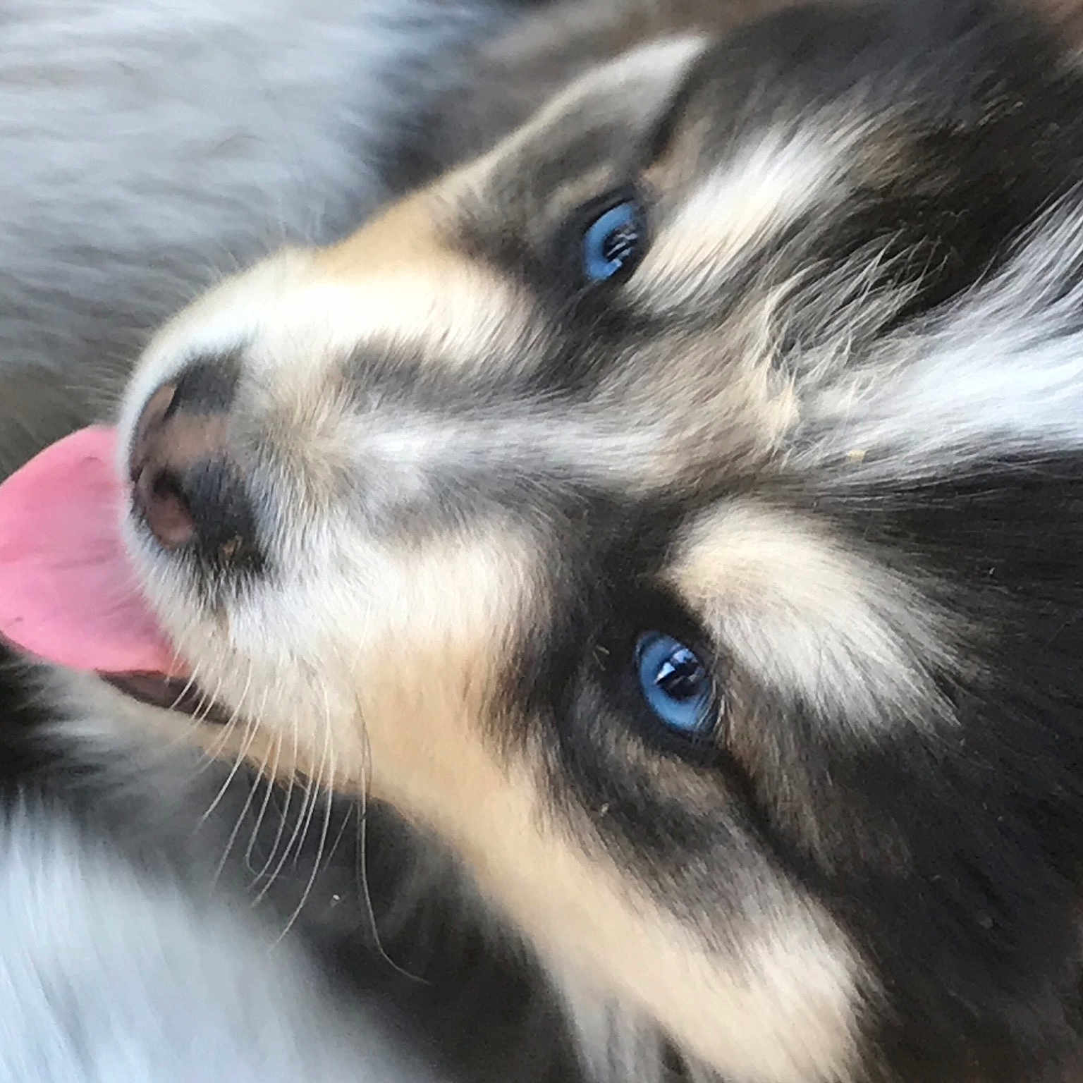 Keegan