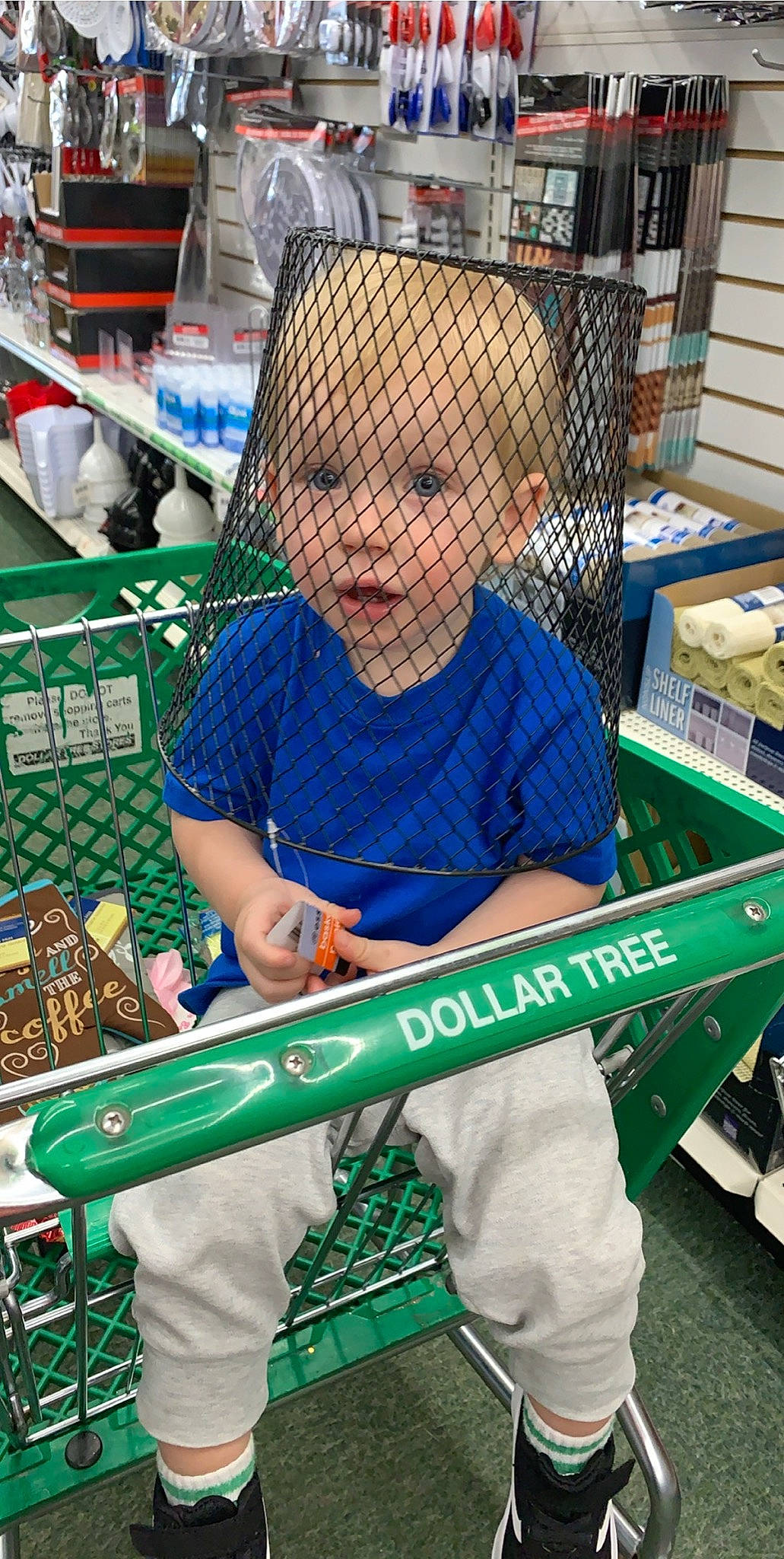 Daxtin joined the competition — help win amazing prizes! cart, child, games, green, male, net, person, play, toddler, vehicle