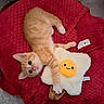 kitten, cat, orange_and_white, sleeping, lying_down, cuddling, plush_toy, fried_egg, red_blanket, pet_bed, indoors, cute, fluffy, whiskers, pink_nose, blue_eyes, cozy, playful, floor, photography