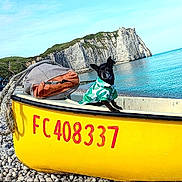 Rosco participe au concours pour gagner de l'argent avec cette photo : dog, small_dog, yellow_boat, pebble_beach, cliff, sea, sky, rocks, outdoor, water, animal_clothing, pet, nature, coast, summer, vacation, travel, canine, scenery, shore