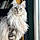 Moonlight