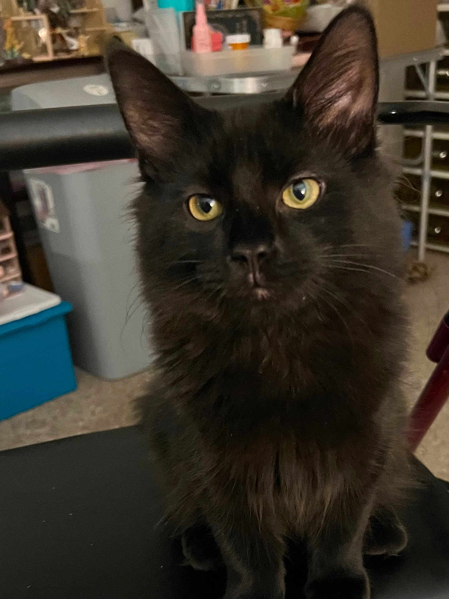Salem