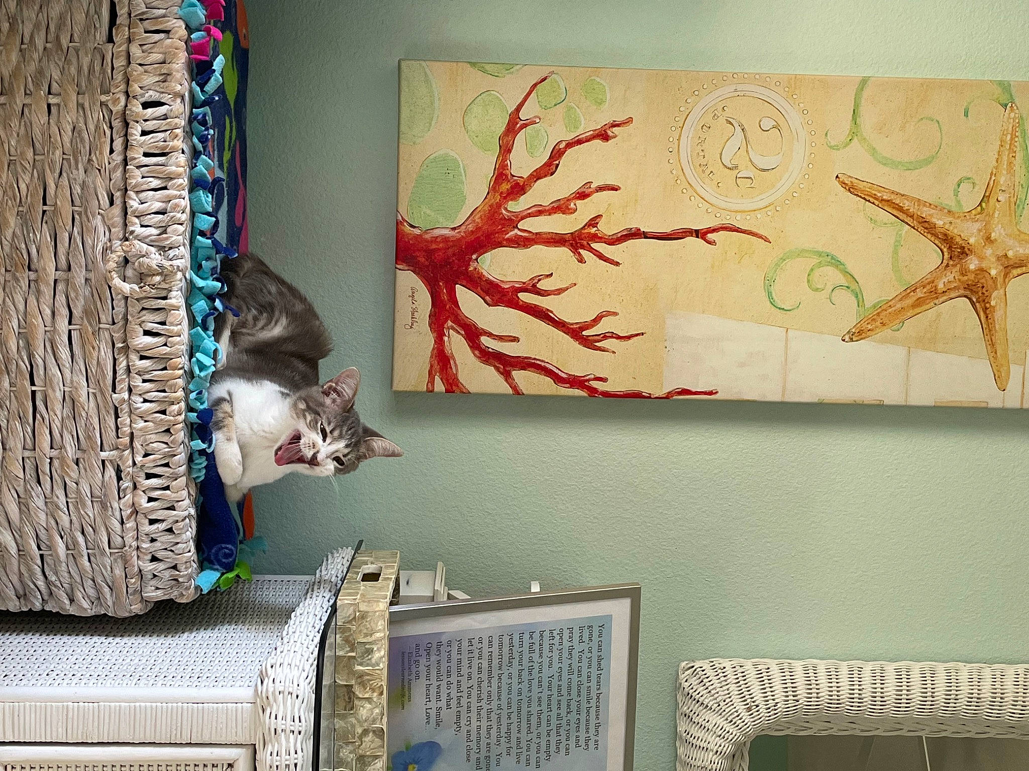 Lexi joined the competition — help win amazing prizes! art, cat, flooring, house, interior_design, linens, living_room, paint, painting, pattern, rectangle, shelf, shelving, textile, tree, twig, visual_arts, wall, window, wood