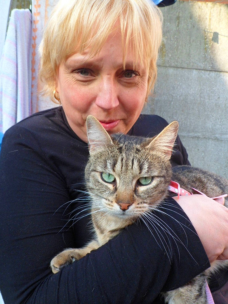 Patou a rejoint le concours — aidez-le/la à gagner de superbes lots ! bangs, brown_hair, carnivore, cat, curtain, domestic_short_haired_cat, ear, fawn, felidae, fur, gesture, grass, hair, happy, organ, sitting, small_to_medium_sized_cats, smile, whiskers