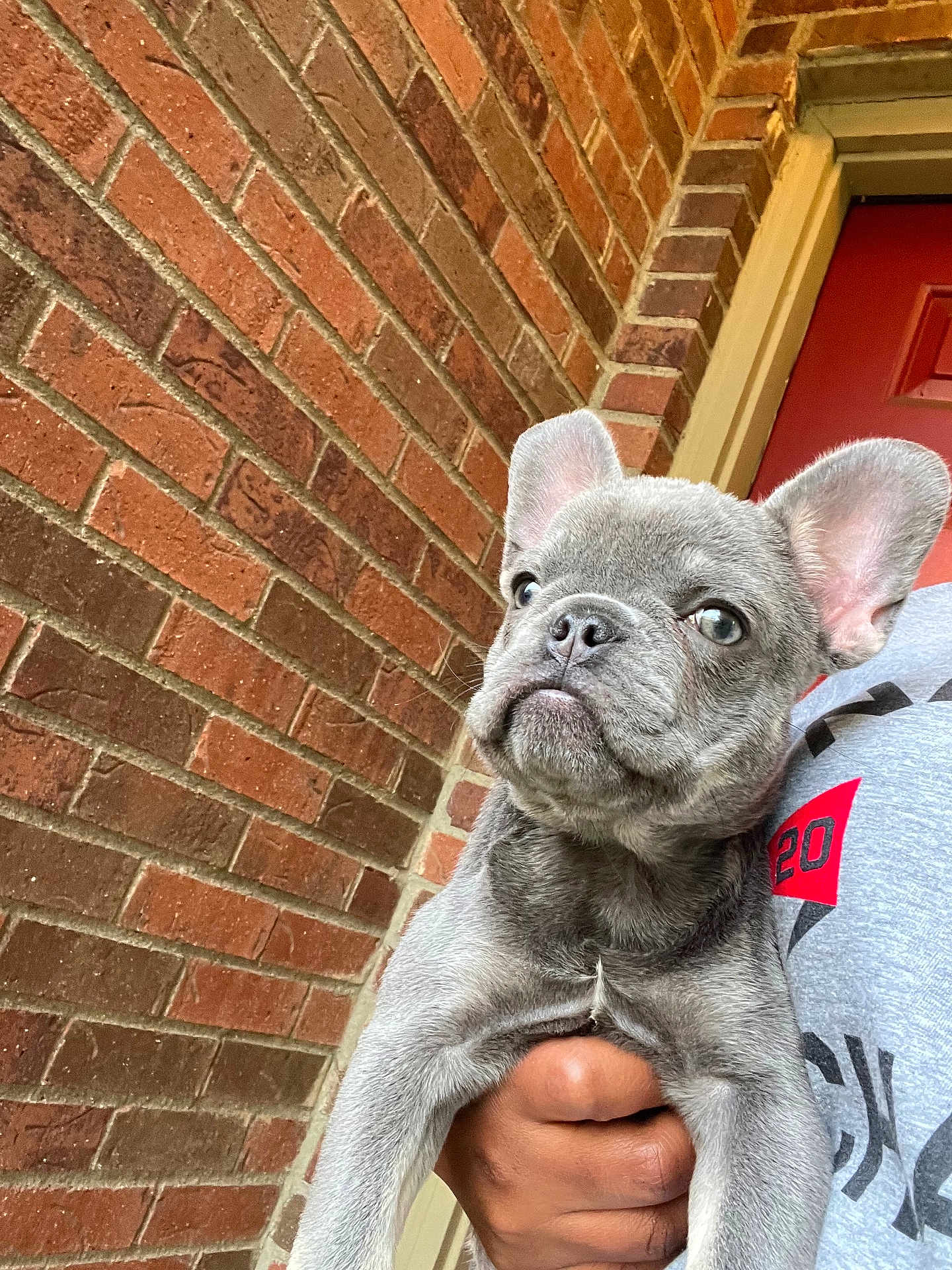 Bella