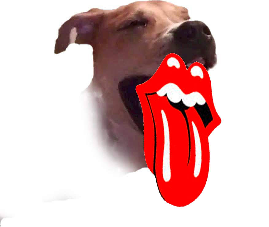 Jagger is registered to the contest to win money with this photo: art, bovine, canidae, carnivore, companion_dog, dairy_cow, dog, dog_breed, dog_supply, fawn, fictional_character, font, illustration, livestock, logo, painting, sporting_group, symbol, tableware, working_animal