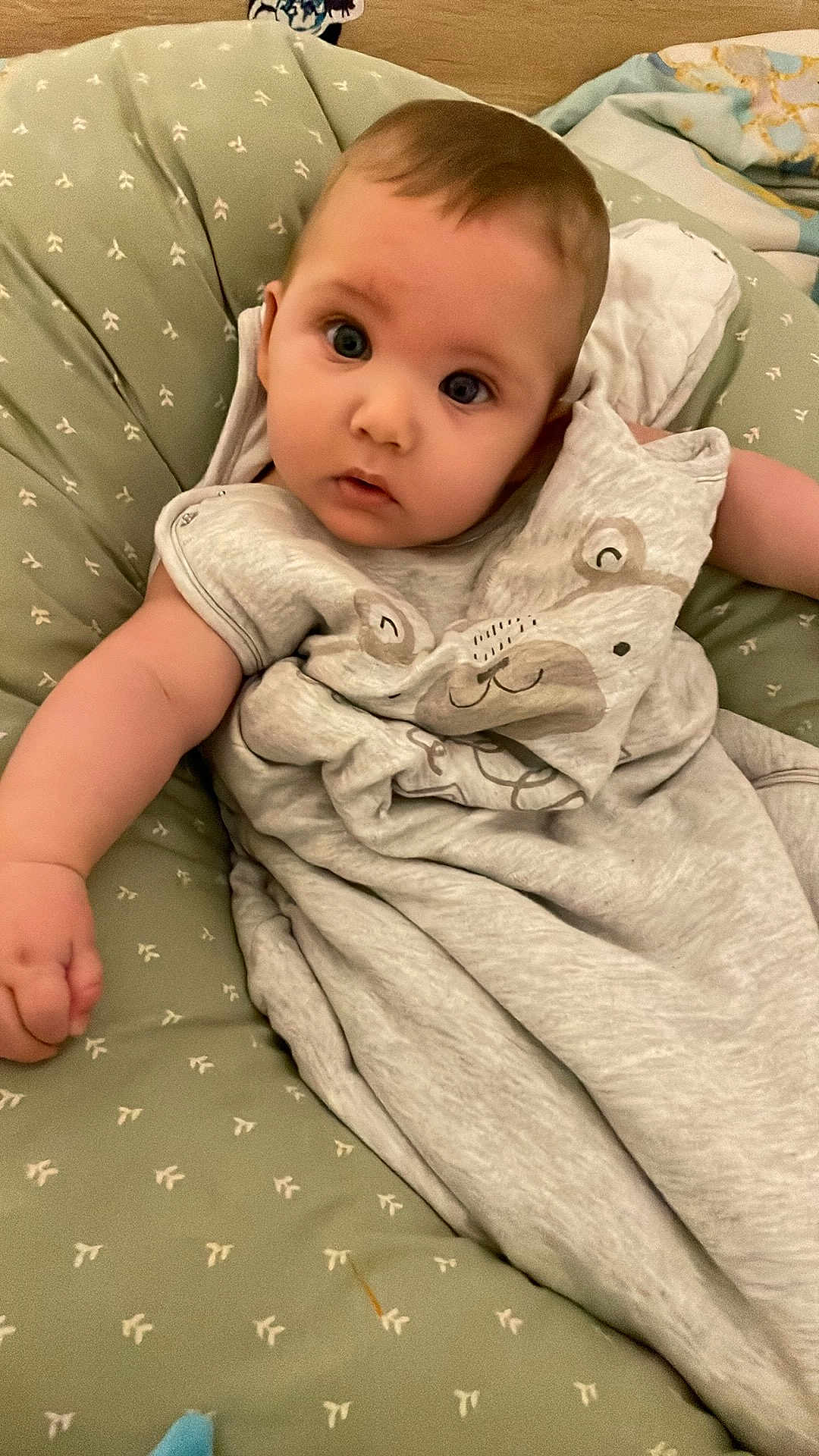 Marcel participe au concours pour gagner de l'argent avec cette photo : baby, infant, cushion, green, gray_clothing, bear_design, face, eyes, arm, hand, soft_fabric, pattern, indoor, comfort, curious, child, person, portrait, closeup, cute