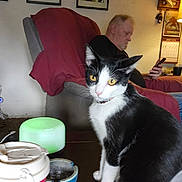 Babyb joined the competition — help win amazing prizes! black_and_white, bottle, calendar, carpet, casual_clothing, cat, chair, couch, cup, electronics, furniture, indoor, lamp, man, person, phone, remote_control, sitting, table, yellow_eyes