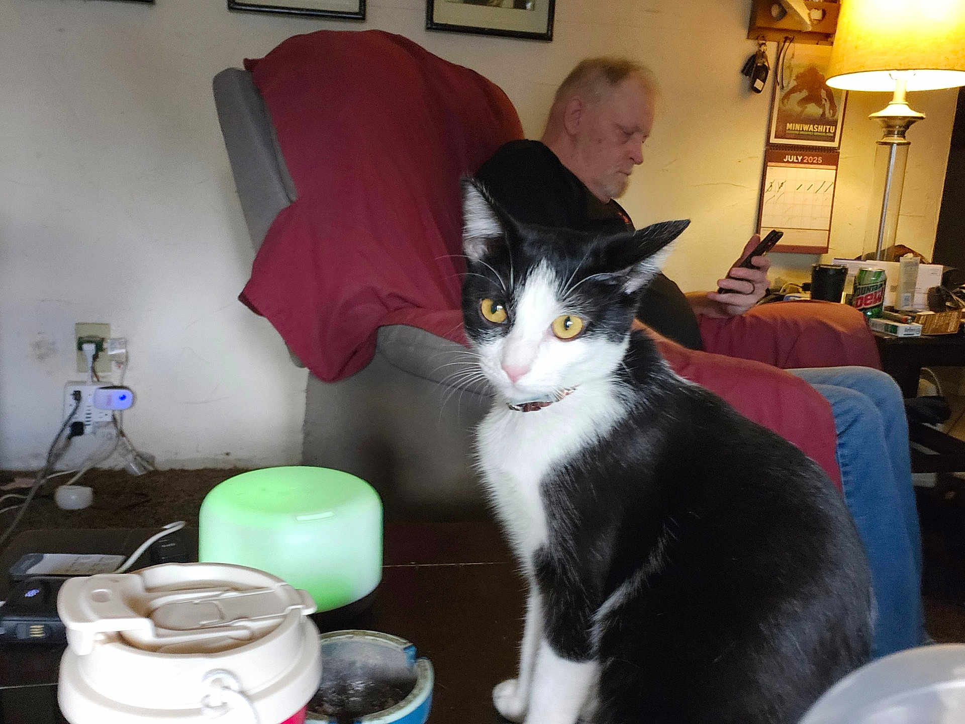 Babyb joined the competition — help win amazing prizes! black_and_white, bottle, calendar, carpet, casual_clothing, cat, chair, couch, cup, electronics, furniture, indoor, lamp, man, person, phone, remote_control, sitting, table, yellow_eyes