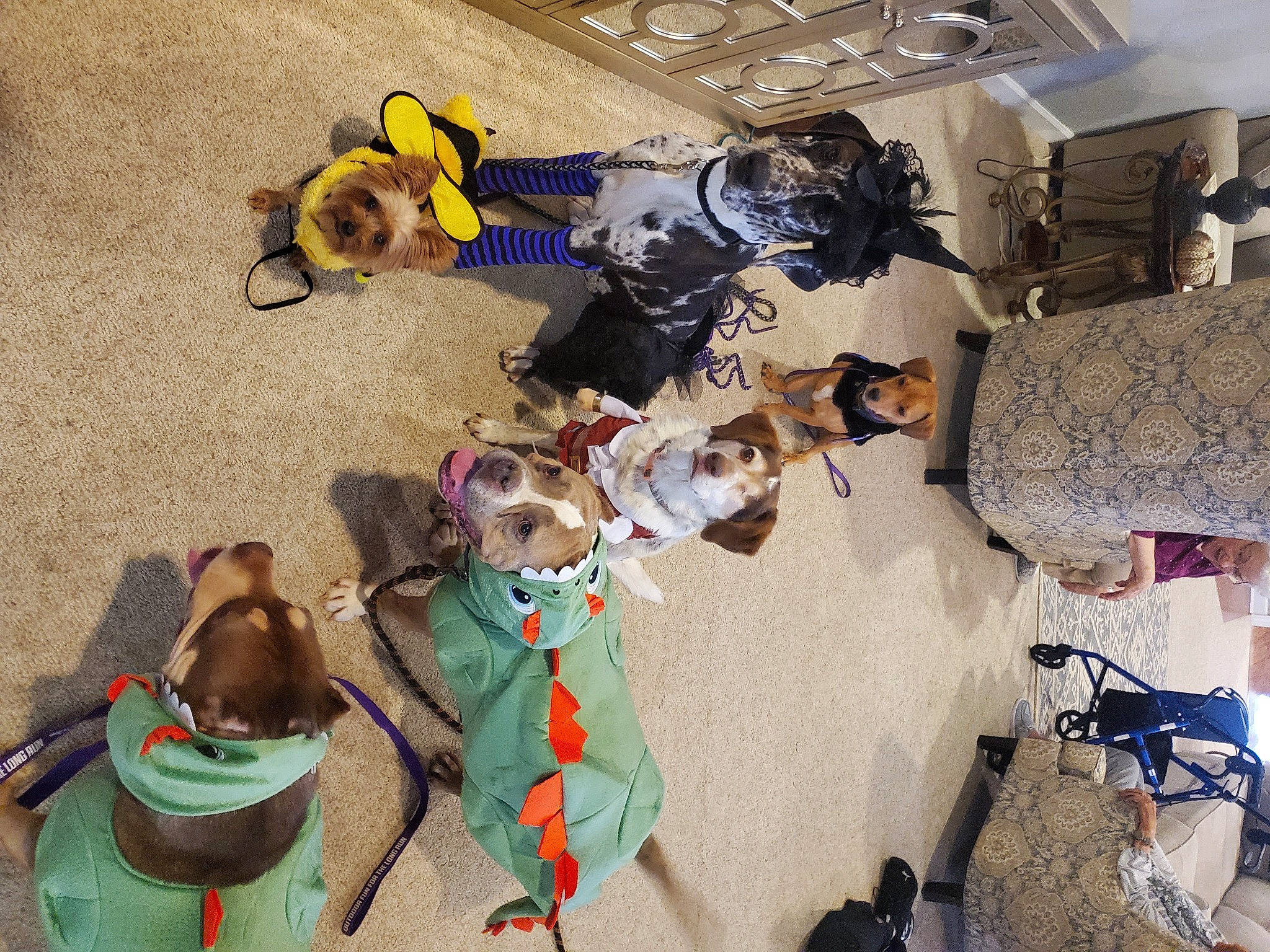 Beatrice is registered to the contest to win money with this photo: art, automotive_design, collection, costume, fiction, fictional_character, flooring, fun, leisure, plastic, room, stuffed_toy, toy, visual_arts