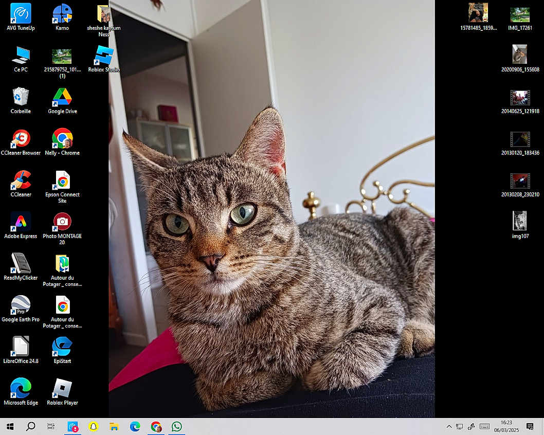 Tigrou participe au concours pour gagner de l'argent avec cette photo : cat, tabby, pet, animal, indoor, close_up, feline, relaxed, fur, green_eyes, bed, room, resting, domestic, whiskers, ears, portrait, comfort, household, furniture