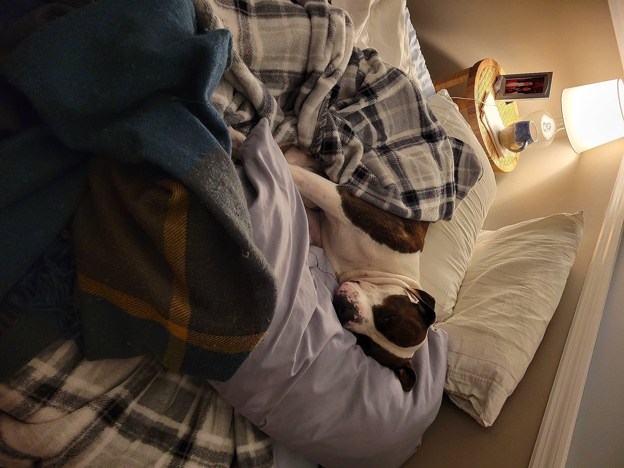 Kane is registered to the contest to win money with this photo: automotive_design, bag, bed_frame, bed_sheet, bedding, bedroom, comfort, lamp, linens, nightstand, pattern, personal_luxury_car, pillow, plaid, room, sleeve, tartan, throw_pillow