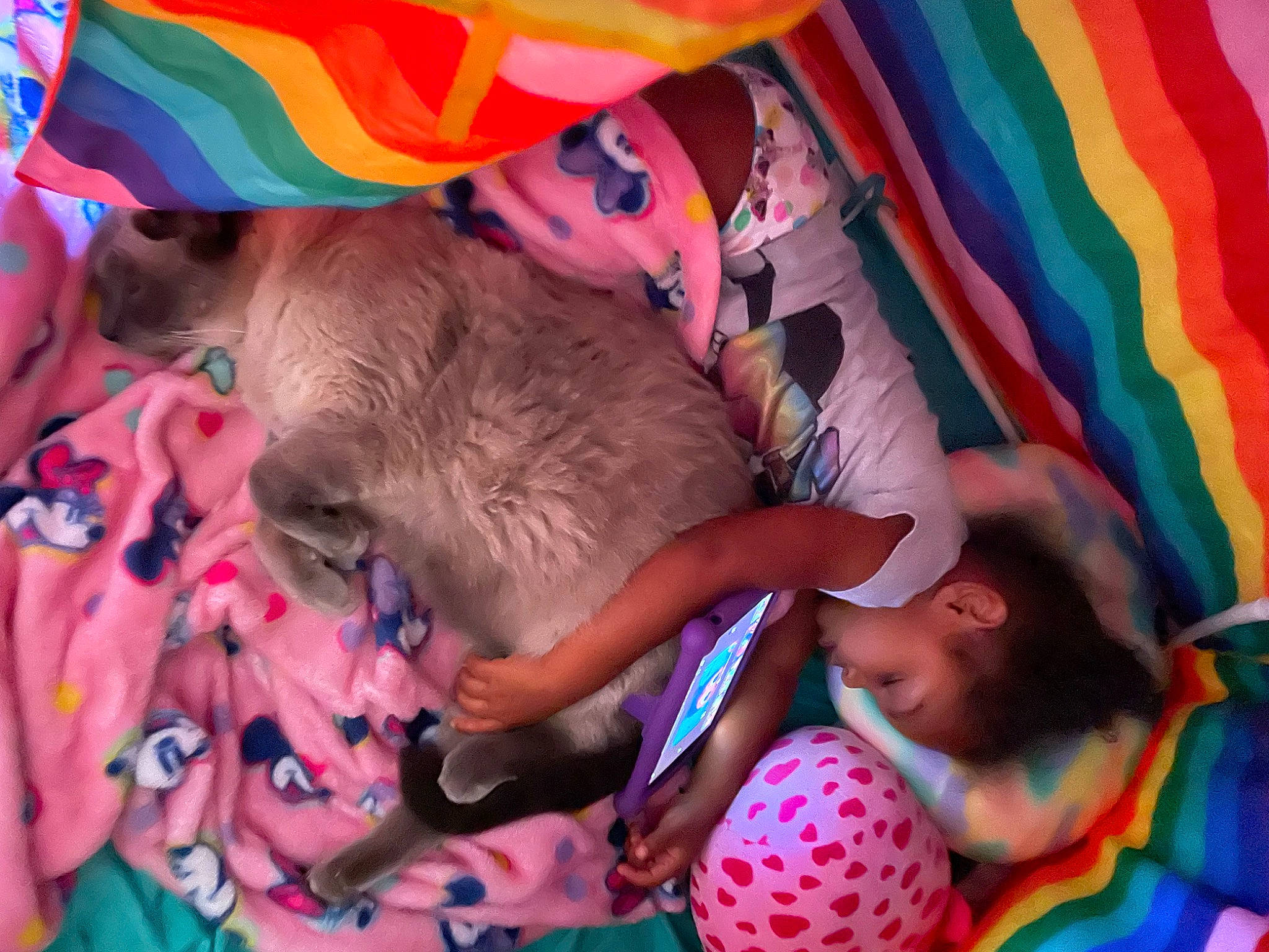 Kash joined the competition — help win amazing prizes! baby, child, comfort, event, fawn, fun, happy, leisure, linens, magenta, mammal, pattern, pink, play, room, textile, toddler, toy, vertebrate, visual_arts