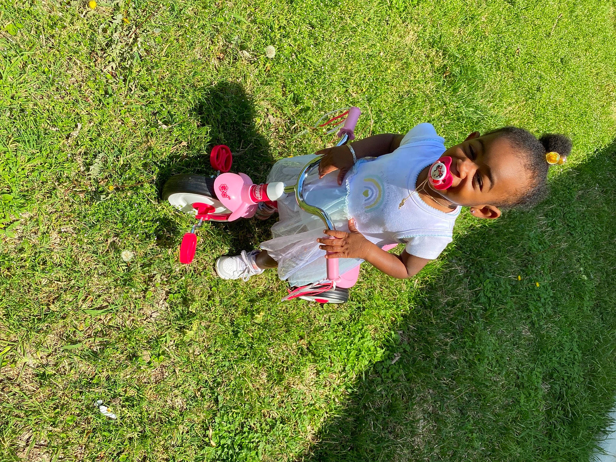 Marli is registered to the contest to win money with this photo: baby, child, fun, garden, grass, grass_family, grassland, groundcover, happy, lawn, leisure, meadow, people_in_nature, person, petal, plant, play, recreation, shrub, toddler