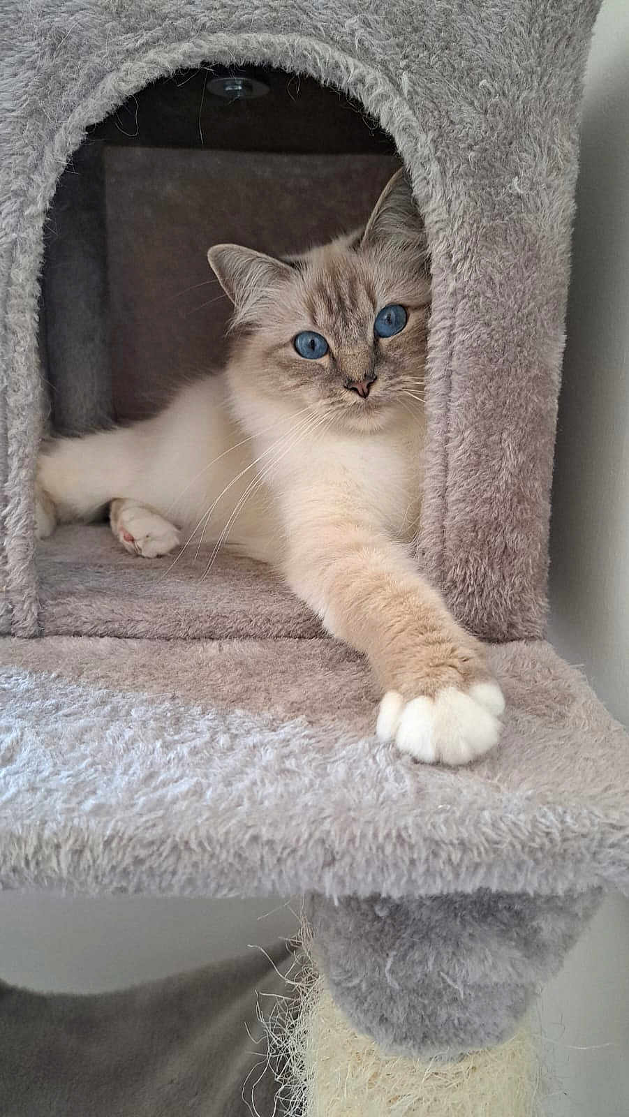 Luna