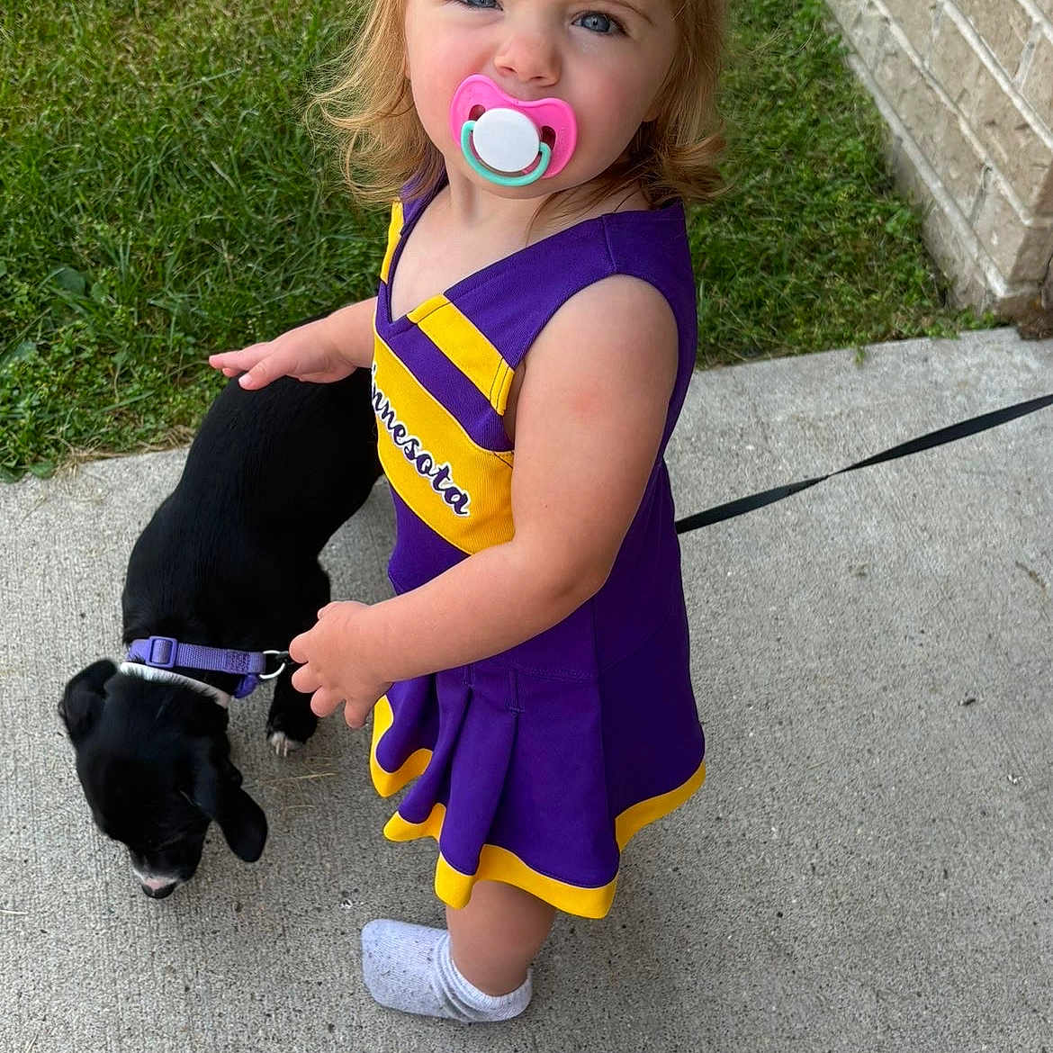Charlotte is registered to the contest to win money with this photo: toddler, child, pacifier, puppy, dog, leash, sidewalk, grass, brick_wall, purple_dress, yellow_trim, outdoor, curious, cute, small_dog, person, footwear, sock, pet, summer