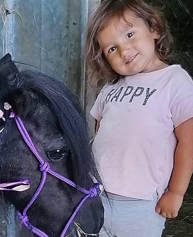 Khrystyna a rejoint le concours — aidez-le/la à gagner de superbes lots ! bit, bridle, cool, eye, hair, hairstyle, happy, horse, horse_supplies, horse_tack, iris, lip, liver, mammal, neck, person, pink, rein, smile, toddler