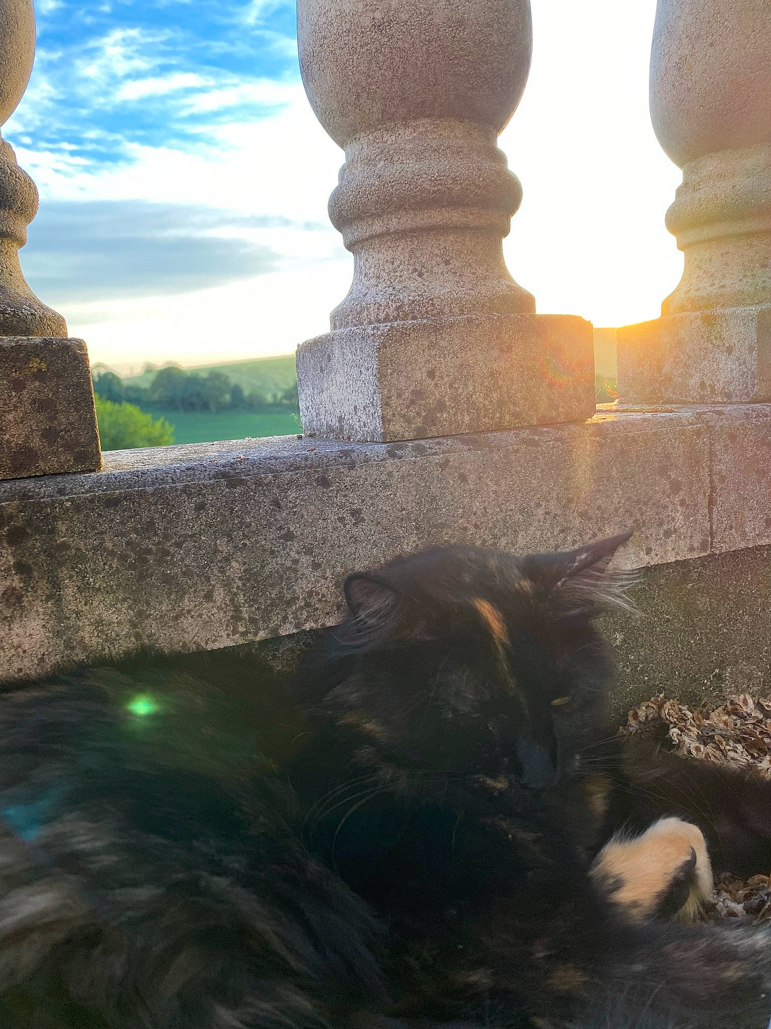 Peter a rejoint le concours — aidez-le/la à gagner de superbes lots ! ancient_history, beauty, cloud, finial, grass, horizon, landscape, light, monument, morning, rock, shadow, sky, sunlight, sunrise, sunset, tints_and_shades, tree, wall, world