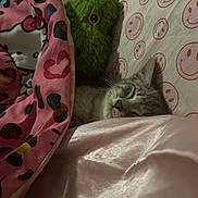 Dio joined the competition — help win amazing prizes! bed, blanket, cat, comfort, cozy, cute, fur, green, hello_kitty, indoor, nap, pet, pillow, pink, plush_toy, resting, sleeping, smiley_face, soft, tabby