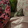cat, sleeping, blanket, pink, hello_kitty, plush_toy, green, pillow, smiley_face, bed, cozy, cute, tabby, indoor, resting, fur, pet, soft, comfort, nap