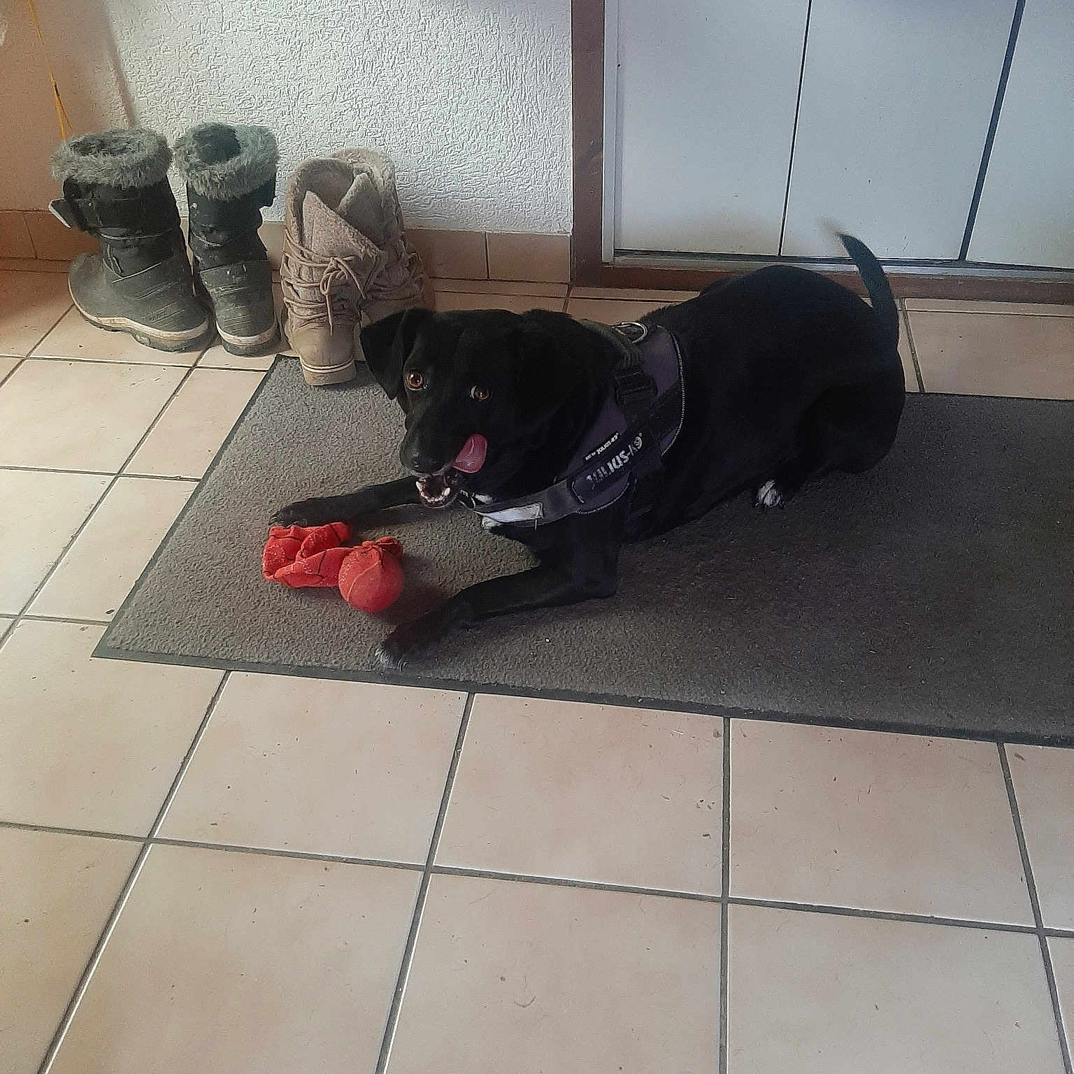 Bichette