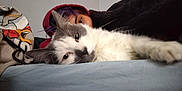 Tobi is registered to the contest to win money with this photo: bed, blanket, cat, closeup, cozy, face, feline, fur, gray, hoodie, indoor, laying, peek, person, purple_hair, relaxed, resting, soft_light, whiskers, white