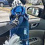 dog, denim_jacket, car_interior, leash, curly_fur, tail, striped_scarf, car_window, side_mirror, residential_area, parked_car, seat, door_handle, window_controls, fur, pet, canine, outdoor, daytime, casual