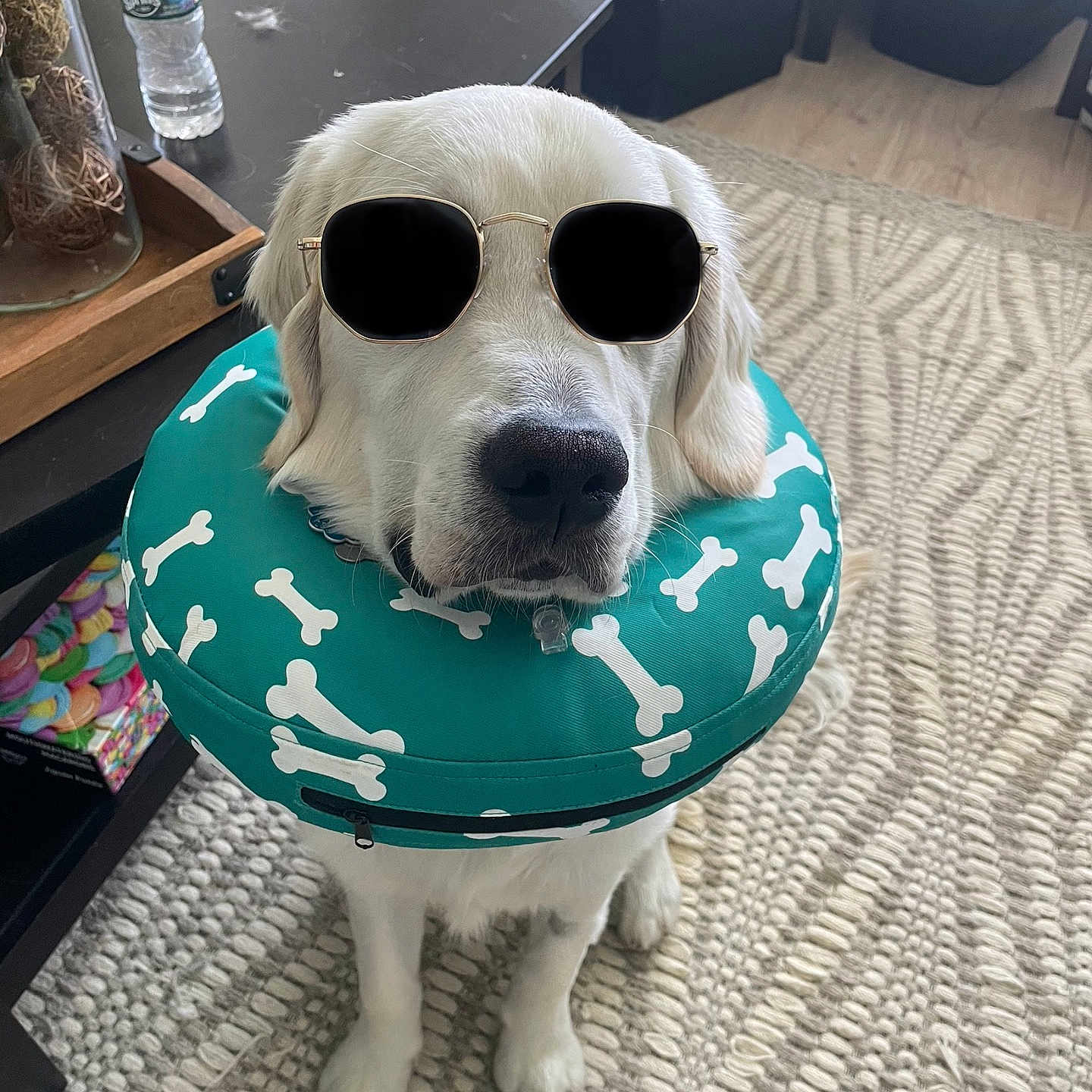 Milo