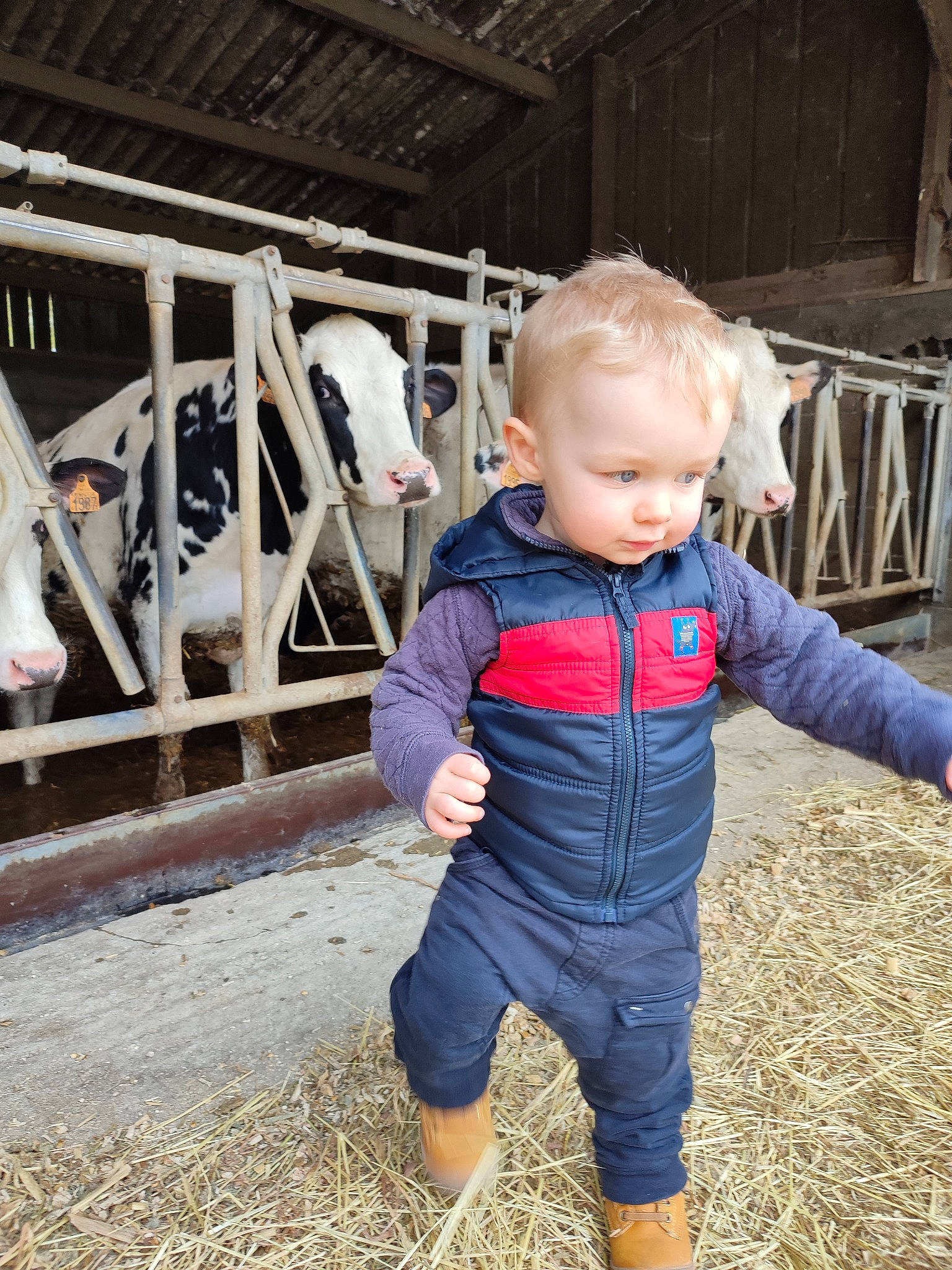 Hugo a rejoint le concours — aidez-le/la à gagner de superbes lots ! baby, baby_toddler_clothing, child, denim, electric_blue, fun, fur, grass, leisure, mammal, people, person, pumpkin, recreation, sitting, sleeve, t_shirt, textile, toddler, vertebrate