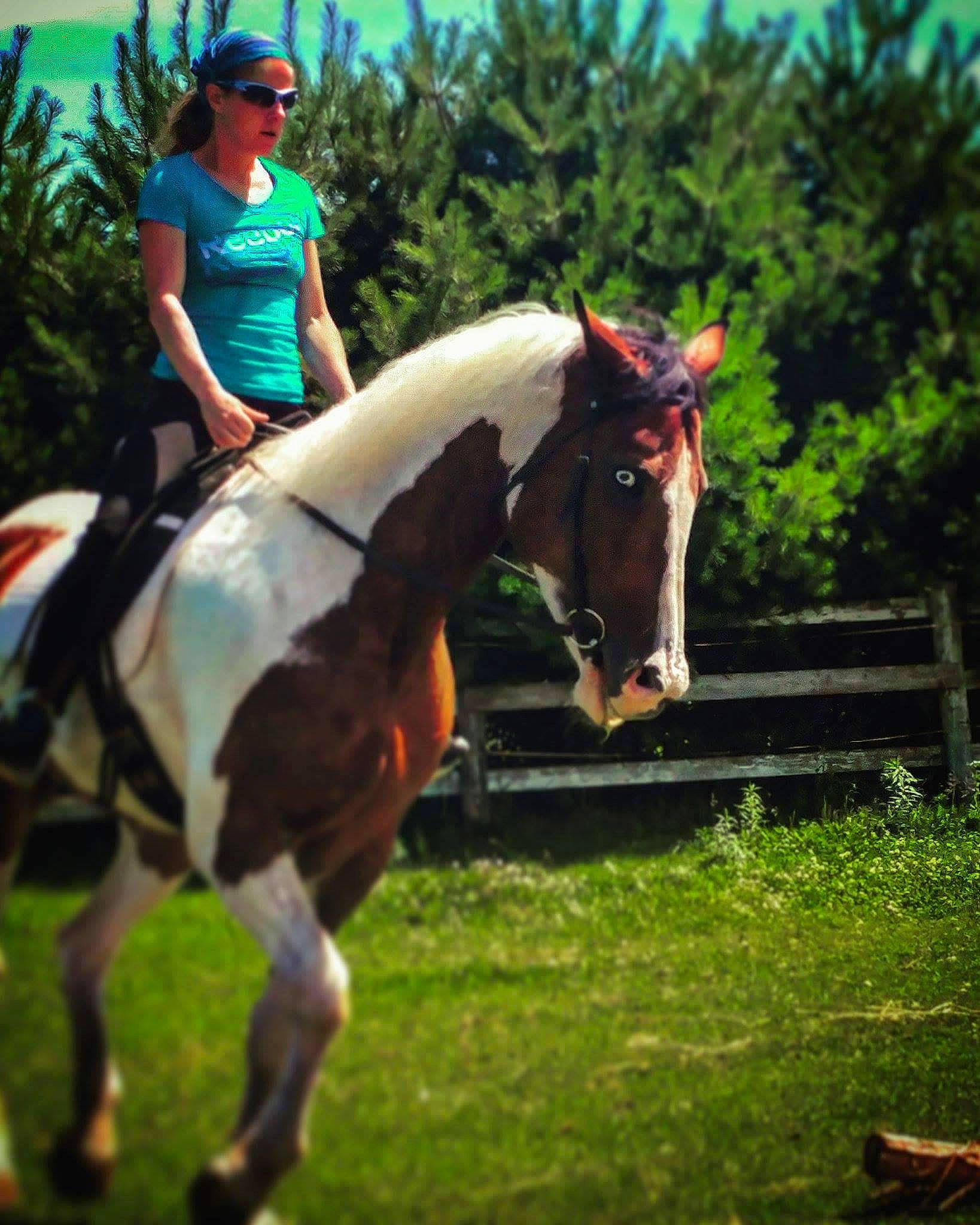 Angel a rejoint le concours — aidez-le/la à gagner de superbes lots ! animal_sports, bridle, cross_country_equestrianism, endurance_riding, english_riding, equestrianism, eventing, grass, horse, horse_like_mammal, horse_tack, horse_trainer, jockey, mane, mare, person, rein, stallion, trail_riding, tree