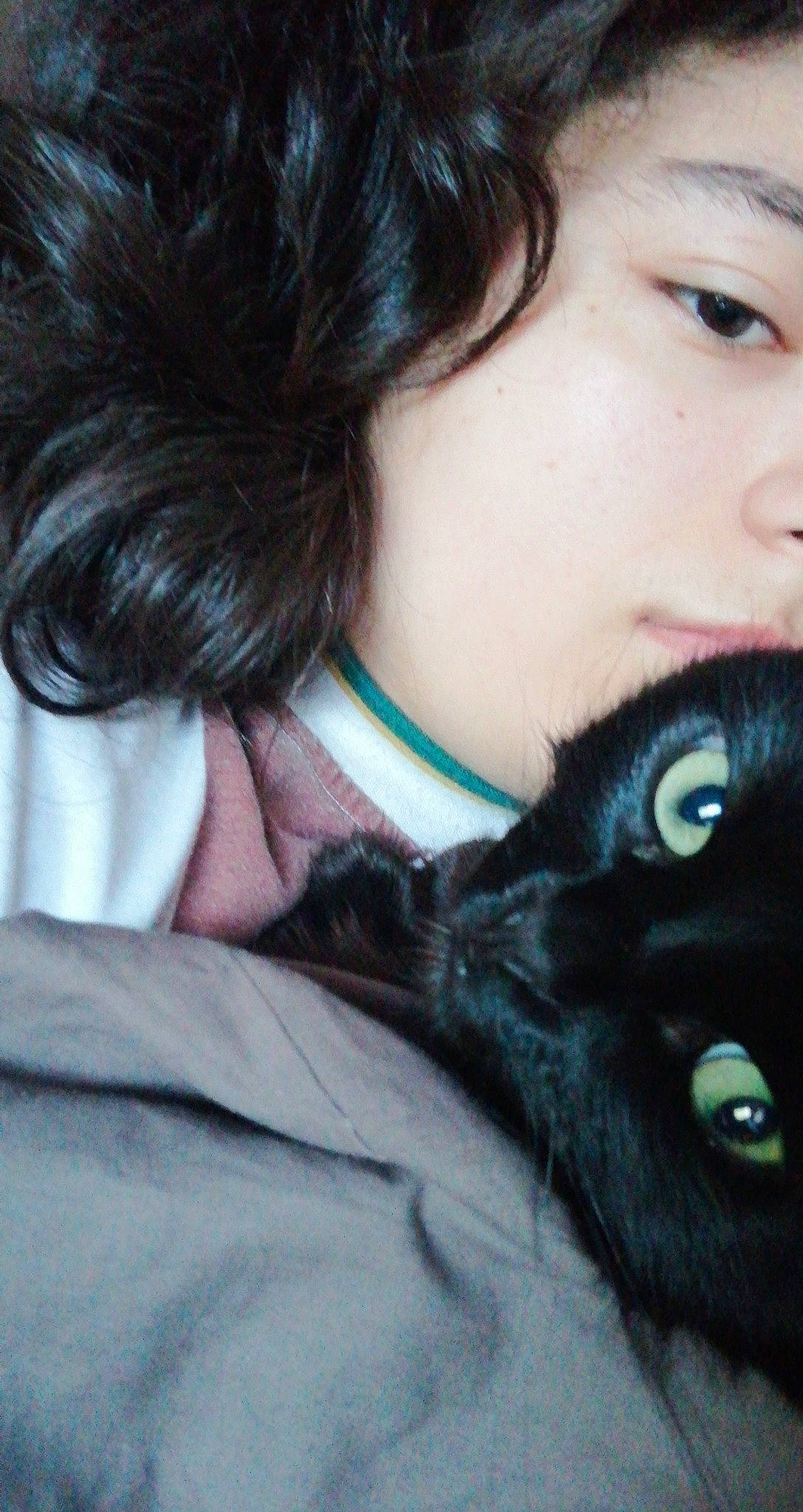 Josephine participe au concours pour gagner de l'argent avec cette photo : black_hair, ear, eye, fur, hair, long_hair, neck