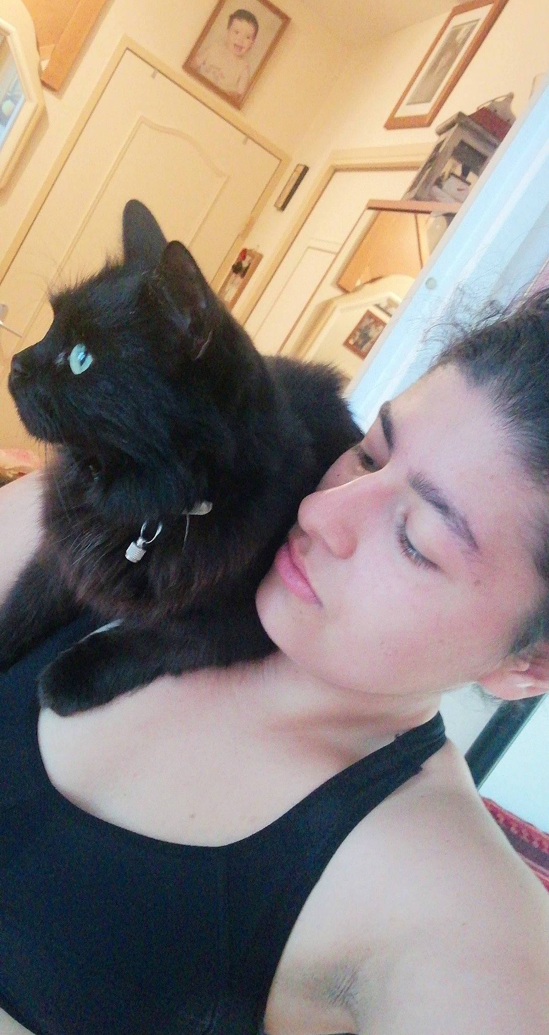 Josephine participe au concours pour gagner de l'argent avec cette photo : black, black_cat, black_hair, carnivore, cat, ear, eye, felidae, fur, hair, iris, leg, long_hair, mouth, neck, nose, shoulder, skin, small_to_medium_sized_cats, whiskers