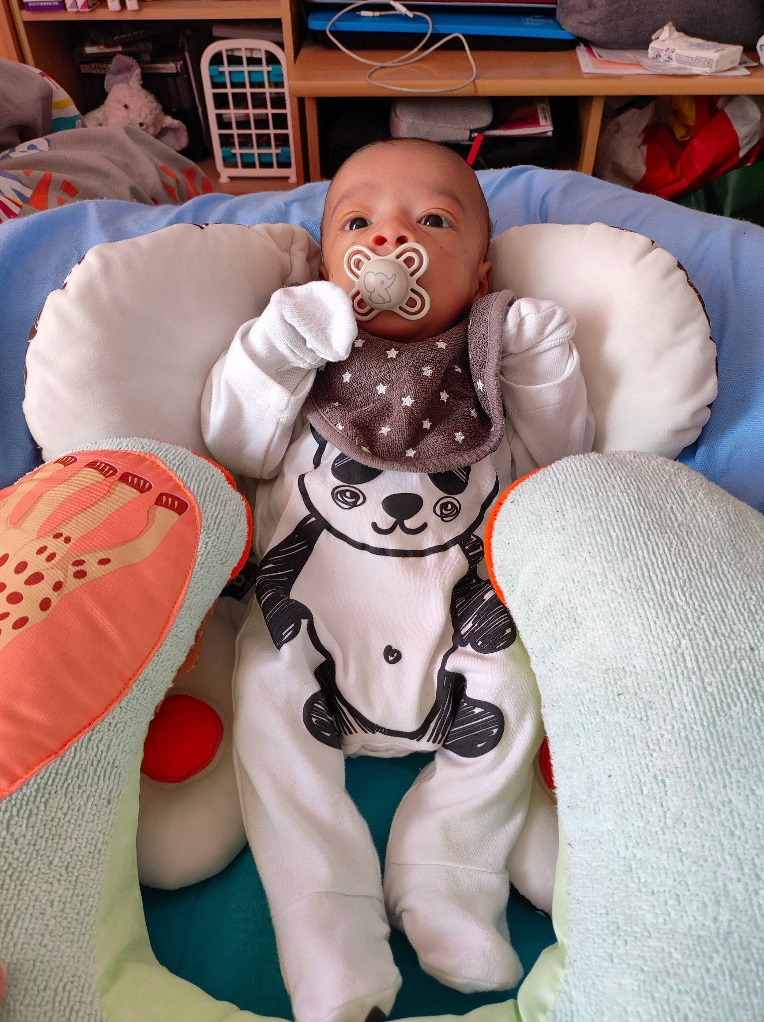 Adonis a rejoint le concours — aidez-le/la à gagner de superbes lots ! baby, baby_products, car_seat, carmine, chair, chest, child, comfort, companion_dog, fictional_character, flesh, human_leg, knee, lap, machine, person, room, sitting, stuffed_toy, thigh