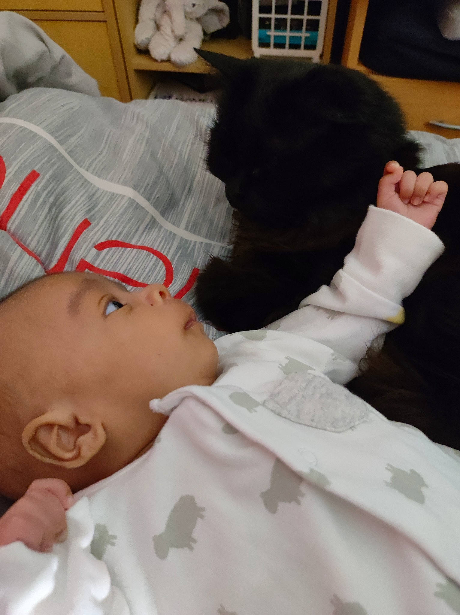 Adonis a rejoint le concours — aidez-le/la à gagner de superbes lots ! baby, baby_sleeping, baby_toddler_clothing, bed, bedding, bedtime, child, comfort, couch, finger, gesture, hand, linens, mobile_phone, pattern, person, pillow, room, skin, thumb