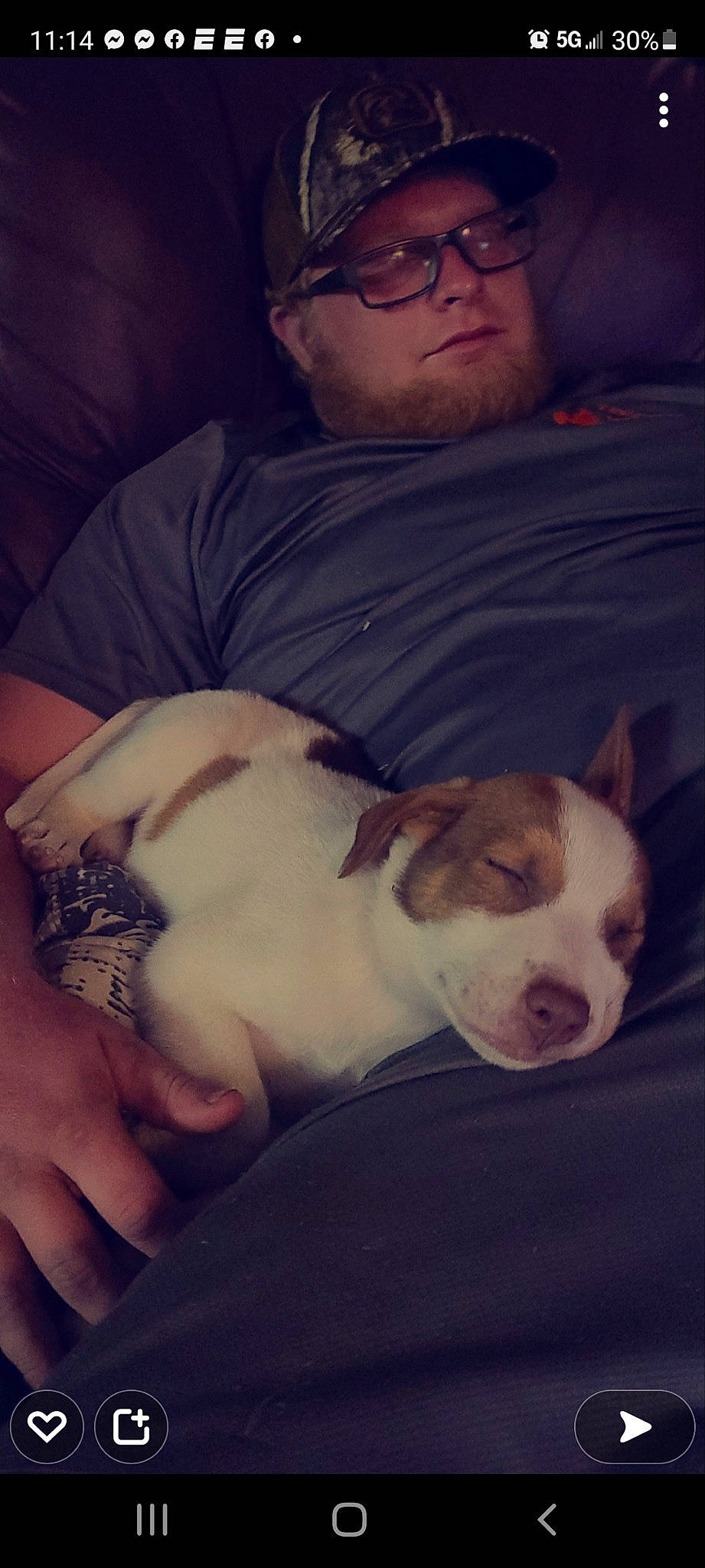 Gunner joined the competition — help win amazing prizes! beard, carnivore, comfort, companion_dog, dog, dog_breed, ear, eyewear, fawn, fur, glasses, hat, paw, puppy_love, snout, sporting_group, t_shirt, vision_care, whiskers, working_animal