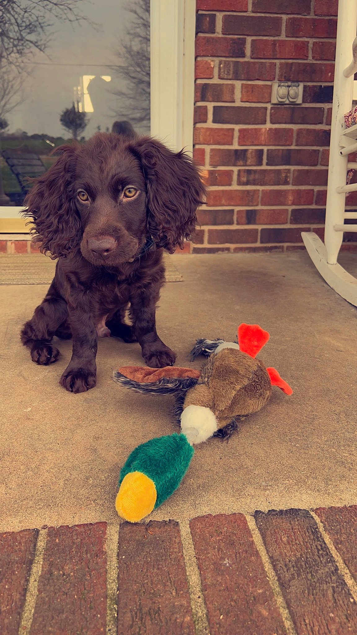 Tucker