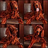 dog, irish_setter, pet, collage, four_images, brown_fur, long_ears, leather_couch, indoor, wooden_wall, portrait, animal, cute, relaxed, playful, tongue_out, fur, home, companion, canine