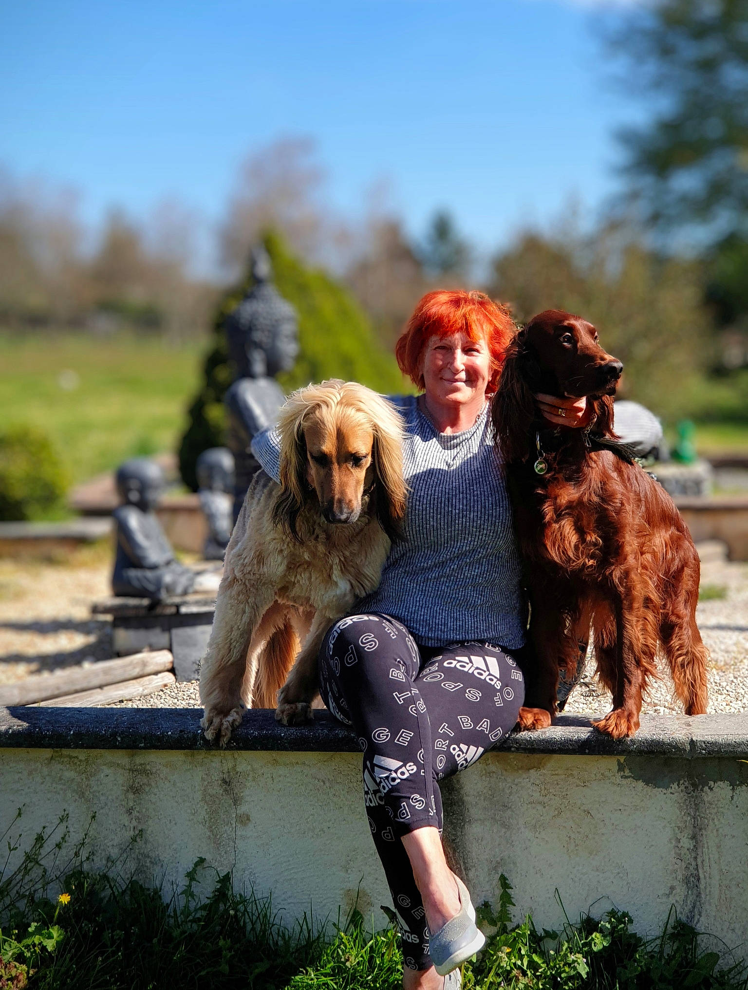 Oneil Et Petrus participe au concours pour gagner de l'argent avec cette photo : canidae, carnivore, companion_dog, dog, dog_breed, fawn, fun, fur, grass, gun_dog, leisure, liver, plant, sitting, sky, spaniel, sporting_group, tree, walking, water_dog