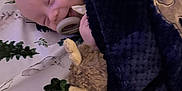 Coda joined the competition — help win amazing prizes! baby, bedspread, blanket, child, comfort, cozy, cute, face, indoor, infant, moose, pacifier, peaceful, plush_toy, resting, sleeping, soft, toddler, trees, woodland