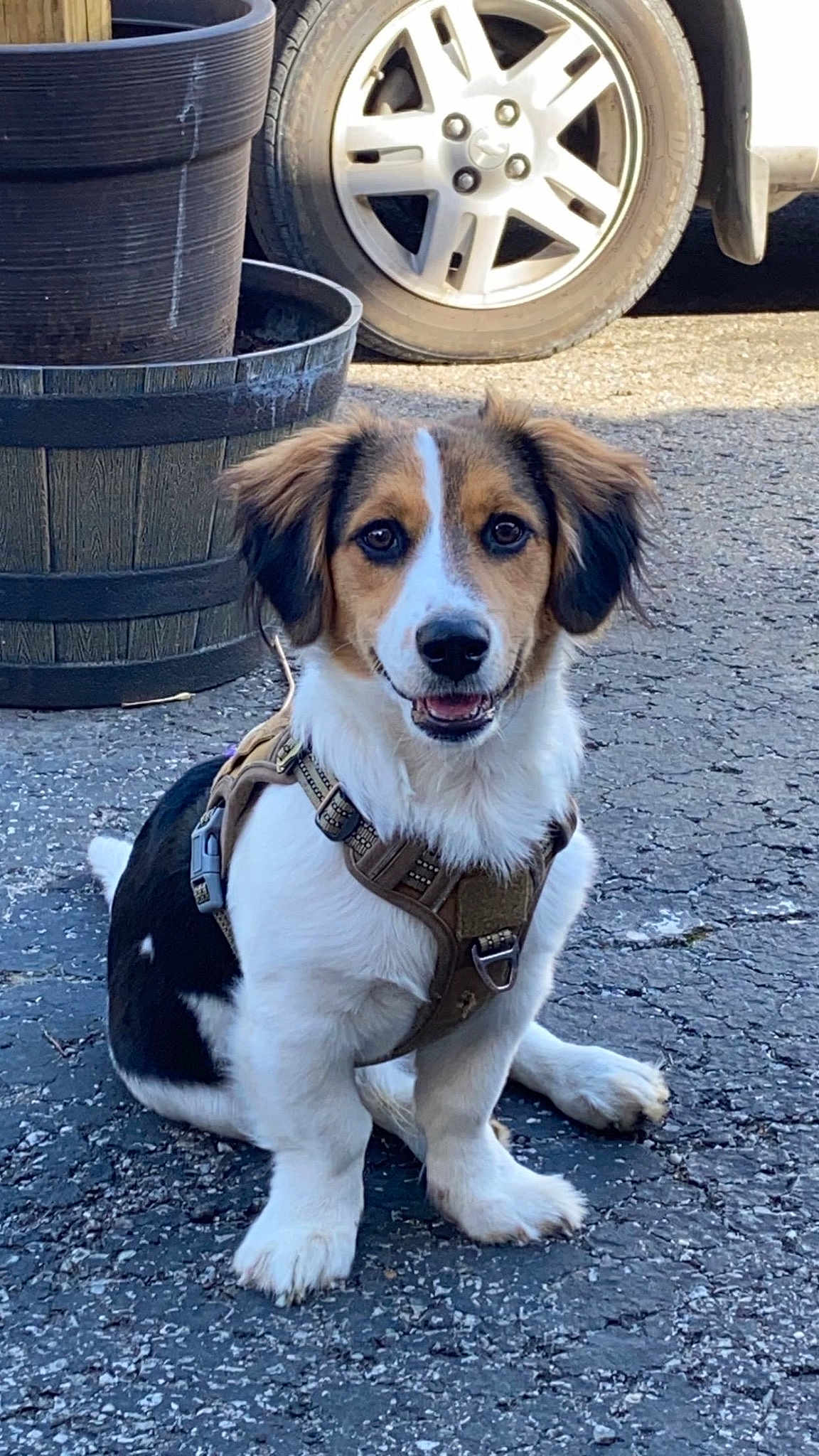 Tucker