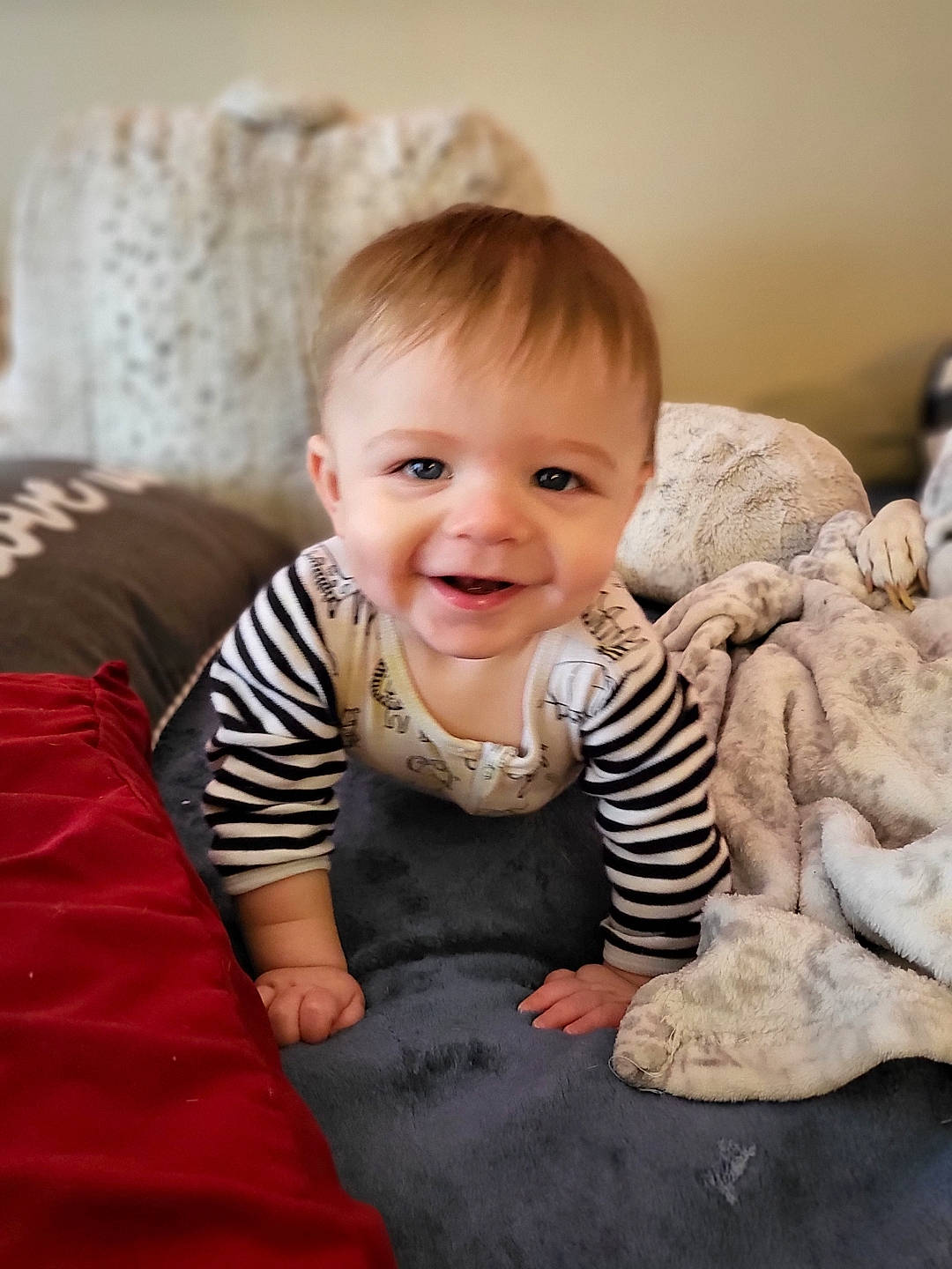 Conor is registered to the contest to win money with this photo: baby, baby_toddler_clothing, cheek, child, comfort, eye, flash_photography, flooring, fun, gesture, happy, head, iris, joy, person, sitting, skin, sleeve, smile, t_shirt