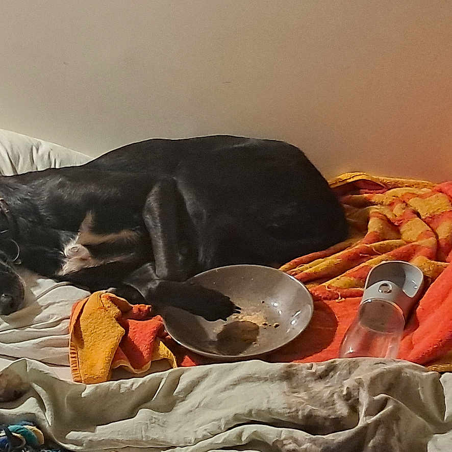 Toundra