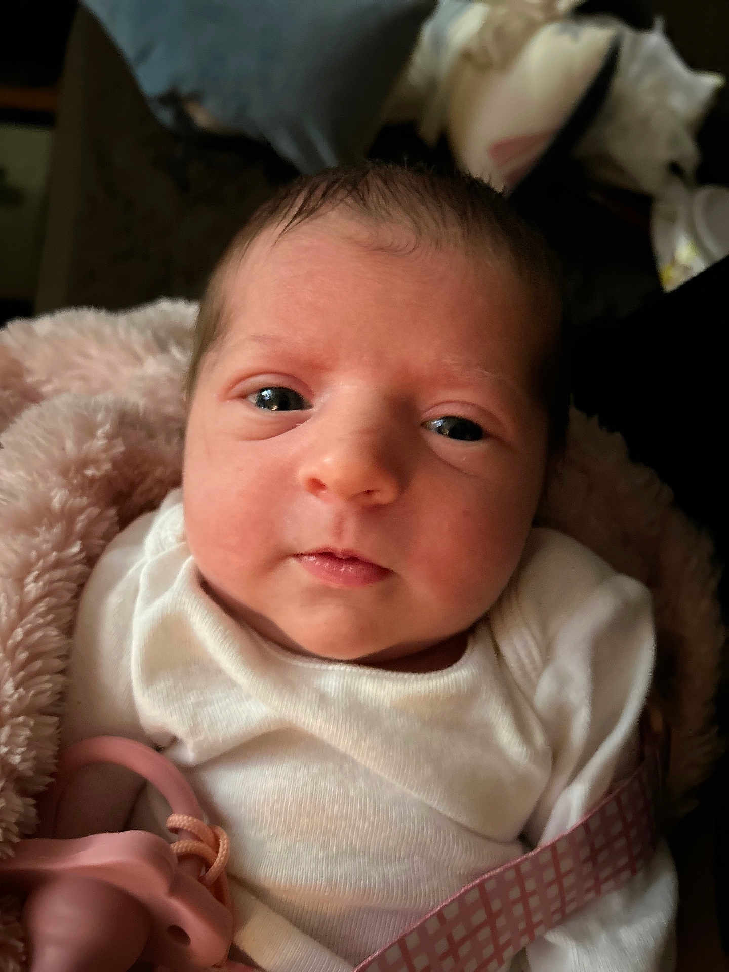 Daisy Suelynn is registered to the contest to win money with this photo: baby, newborn, infant, face, pacifier, blanket, white_clothing, closeup, portrait, cute, soft, pink, child, young, wrapped, indoors, skin, head, eyes, expression