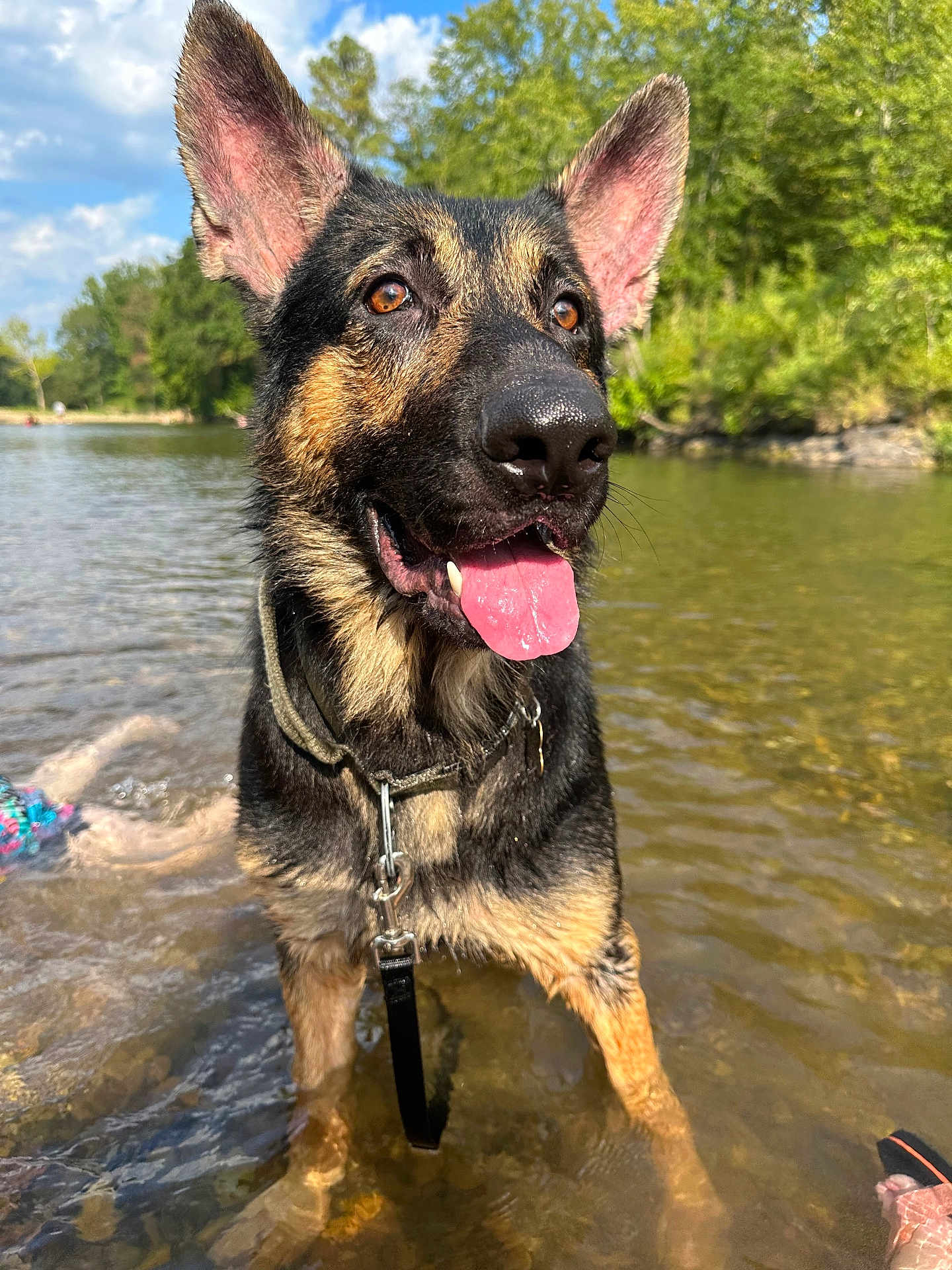 Zeus