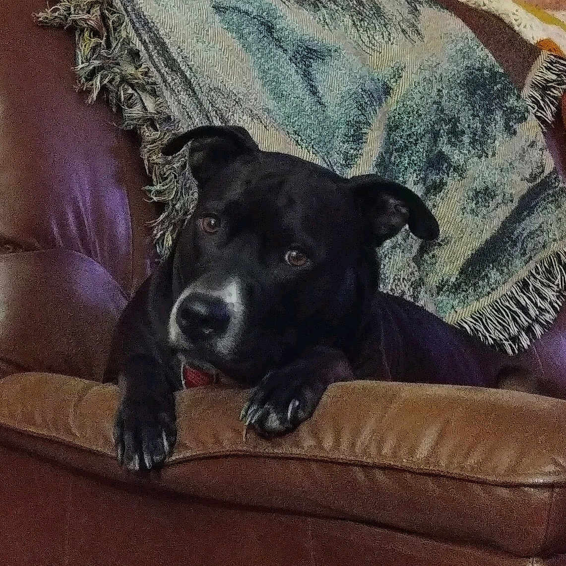 Zoey