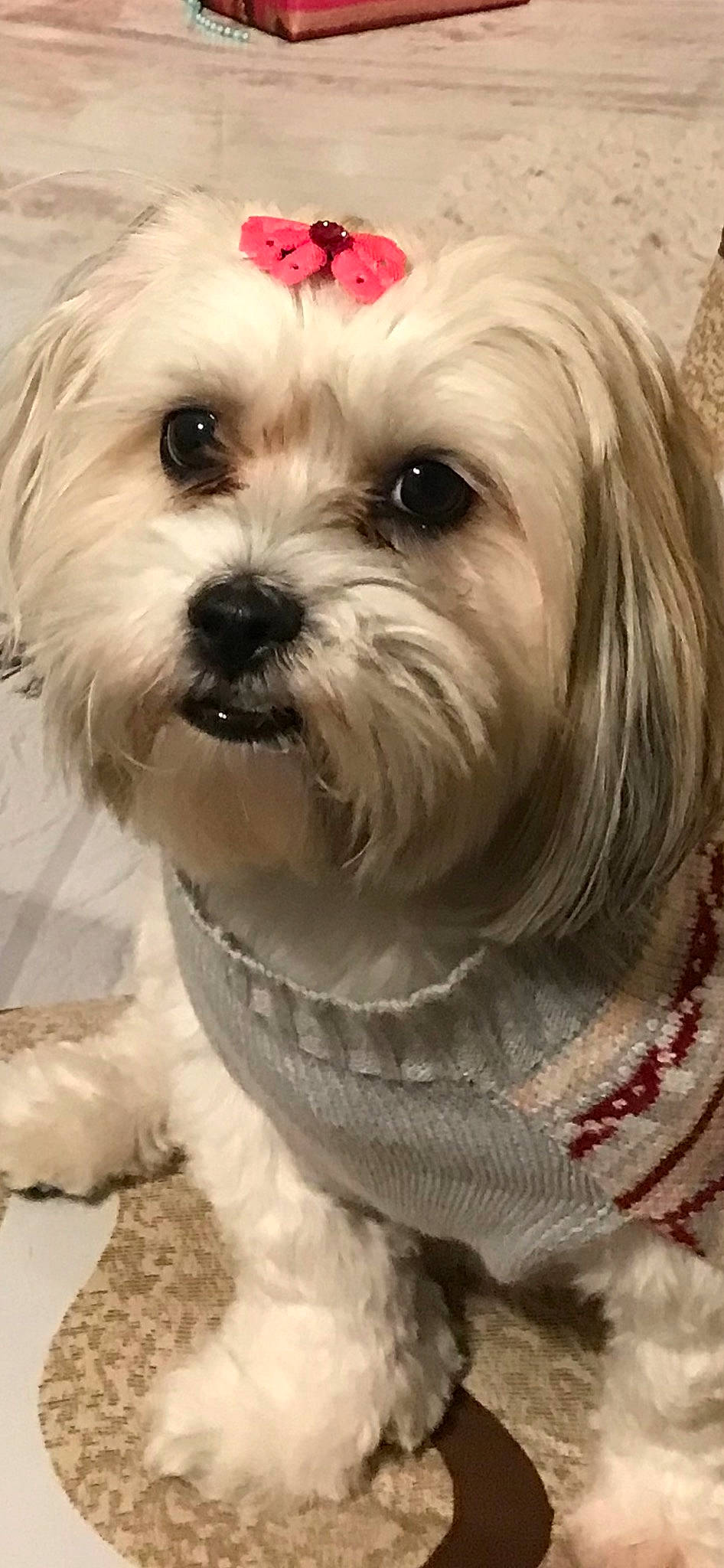 Angel