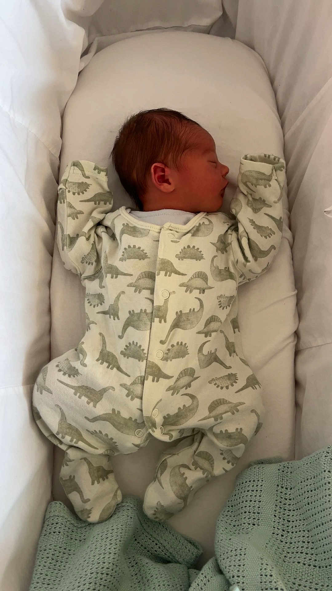Arlo joined the competition — help win amazing prizes! baby, newborn, sleeping, onesie, dinosaur_pattern, blanket, bassinet, infant, cozy, cute, clothing, soft, peaceful, child, bed, rest, indoors, portrait, sleep, person